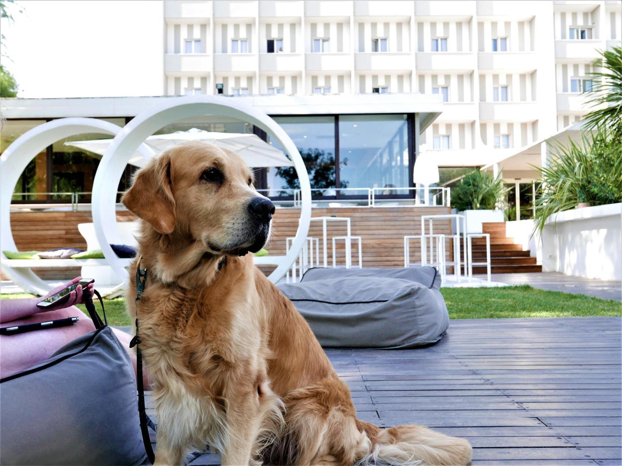 Oxygen Lifestyle Hotel Viserbella di Rimini Dış mekan fotoğraf